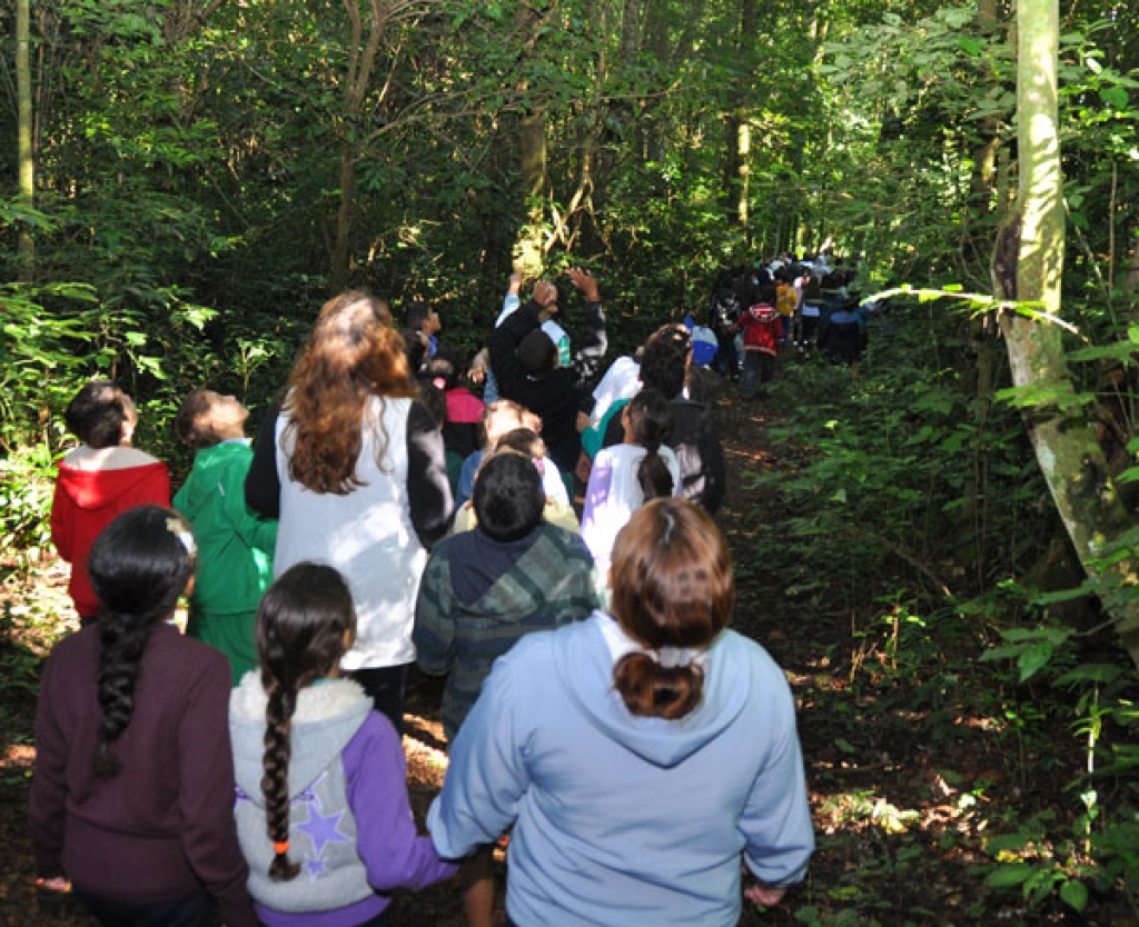 Alunos e professores participam de caminhada pelo Horto Florestal